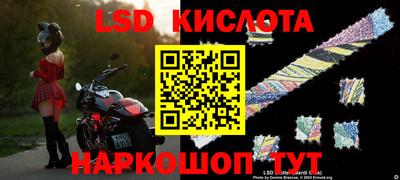 шишки Краснодар