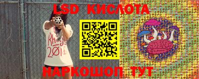 шишки Краснодар