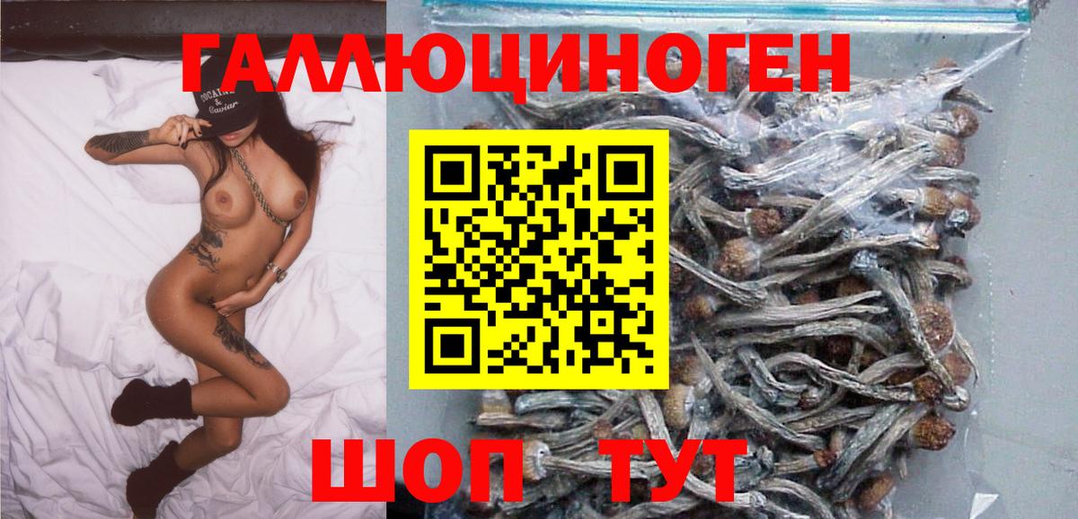 Клинцы  Галлюциногенные грибы Cubensis  Вход с VPN 