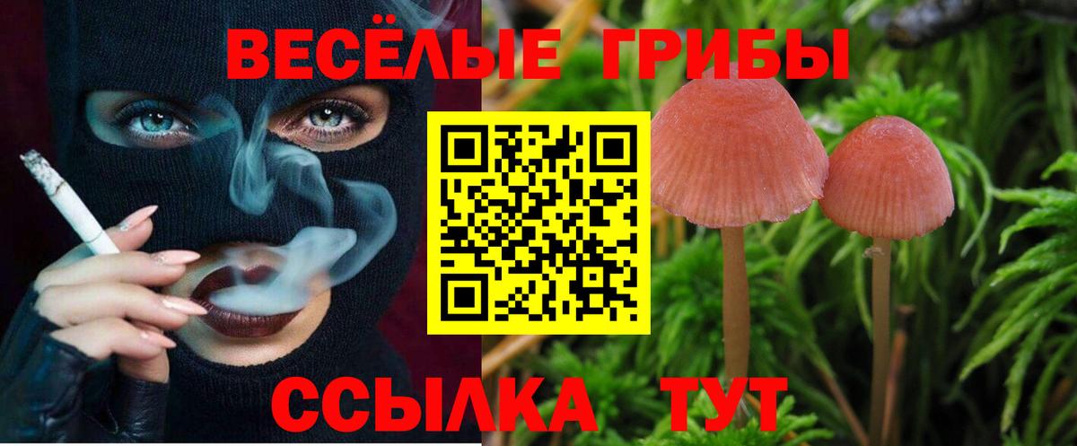 NBOMe Клинцы